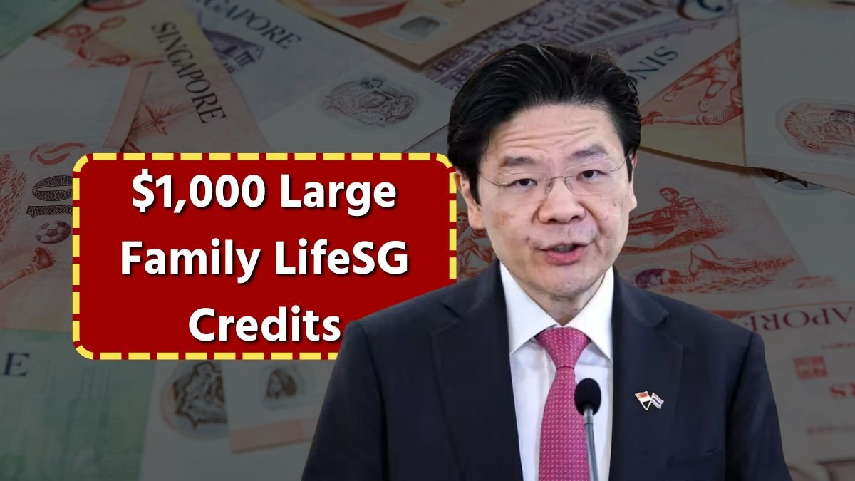 $1000 Large Family LifeSG Credits