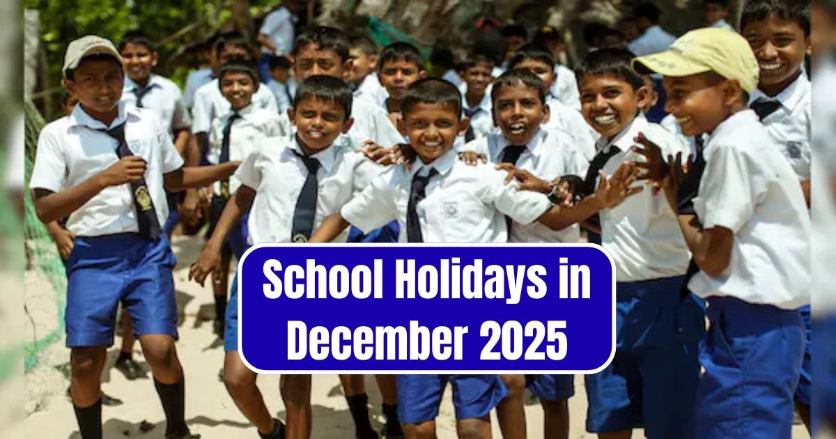 School Holidays in December 2025